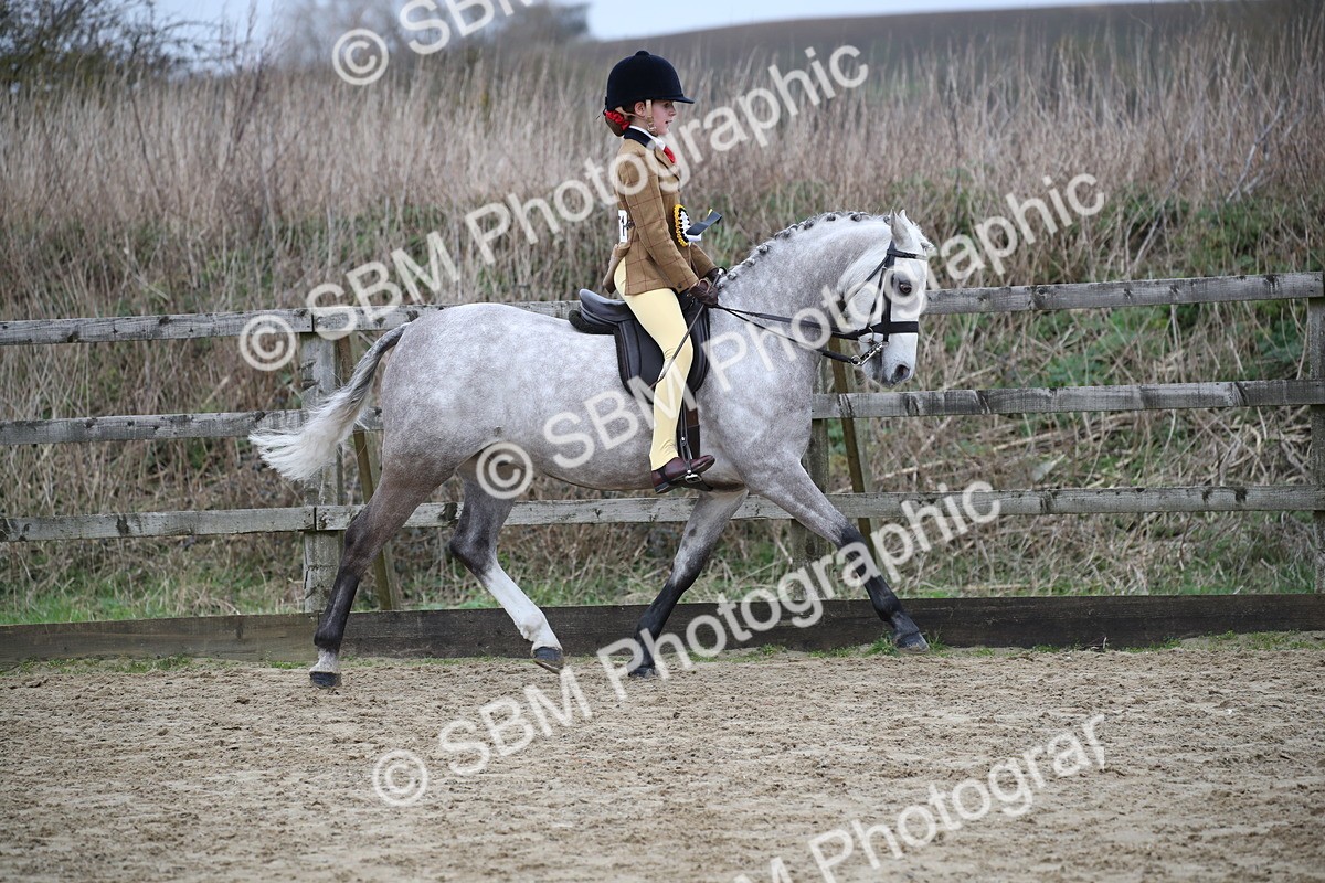 SBM_004695 - Class 5-9 - NPS In Hand-Show Hunter-Intermediate Ridden Inc Ridden Championship