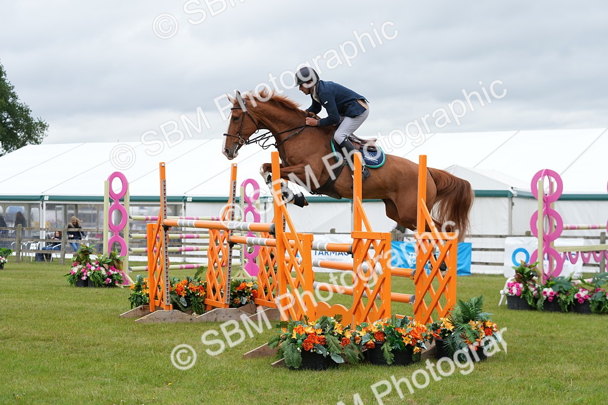 SBM_03468 - Class 201 - British Horse Feeds Speedi Beet Horse of the Year Show Grade  C