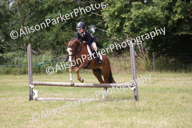 20260614-4132 - Class 24 - Mini and Major Pairs Jumping