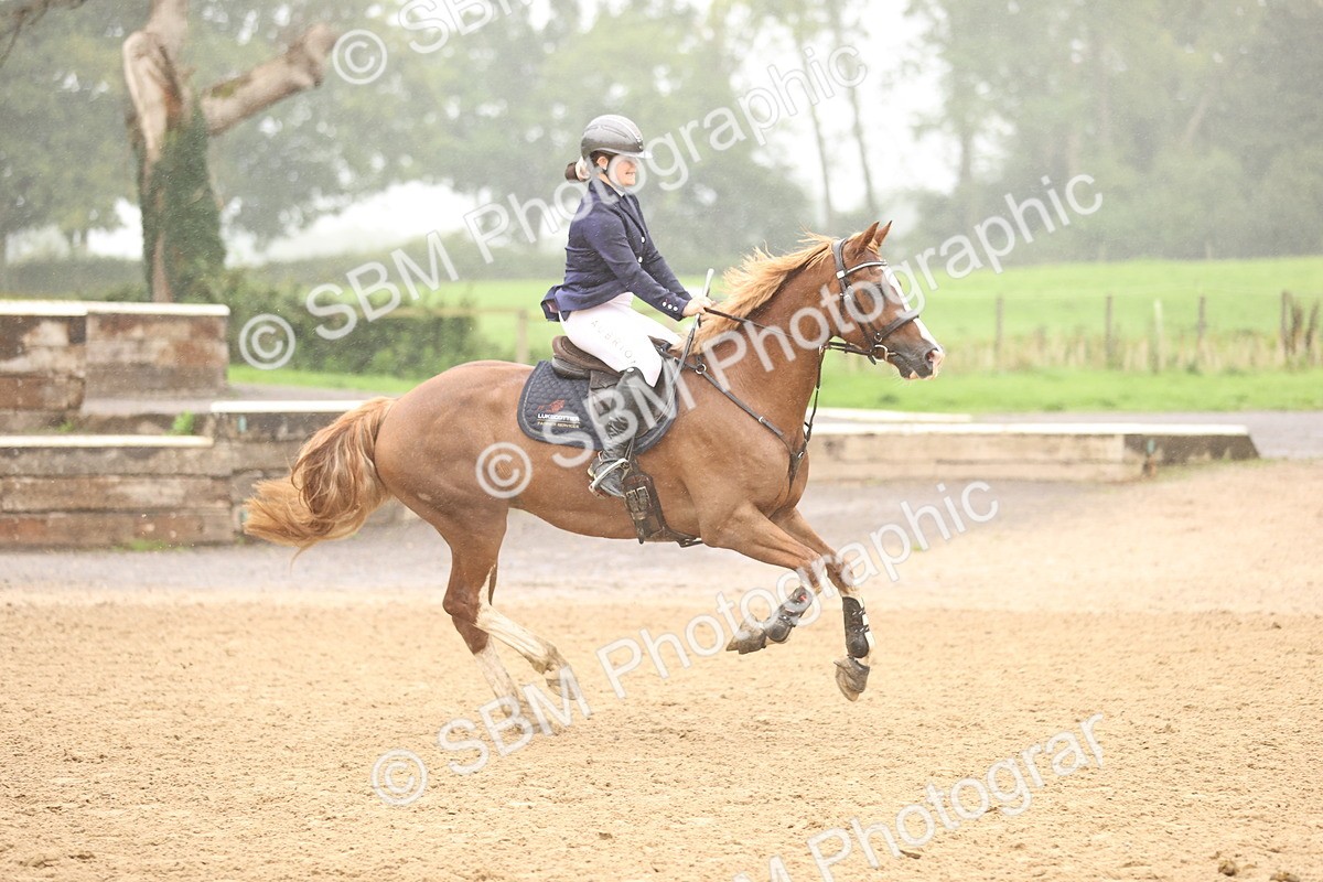 SBM_73529 - J19 - Junior Horse & Pony 90cm Supreme championship