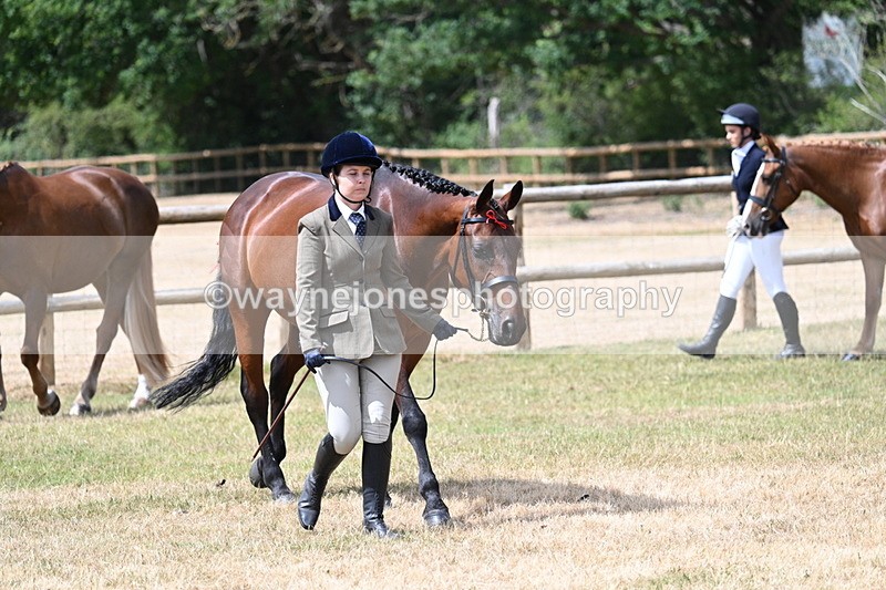 WJ7_1789 - Class 4a Prettiest Mare 14.2hh and over hand