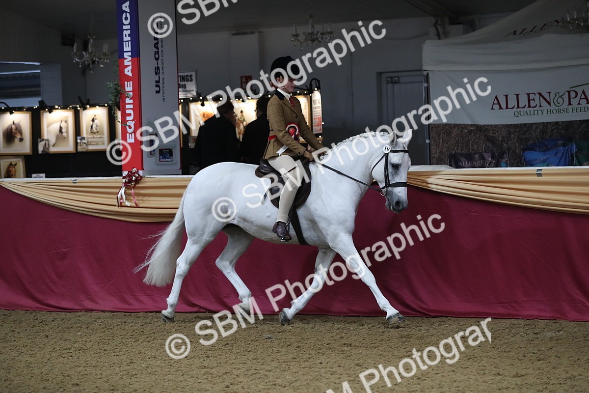 SBM_09386 - Class 101 Equitation (best rider), Junior