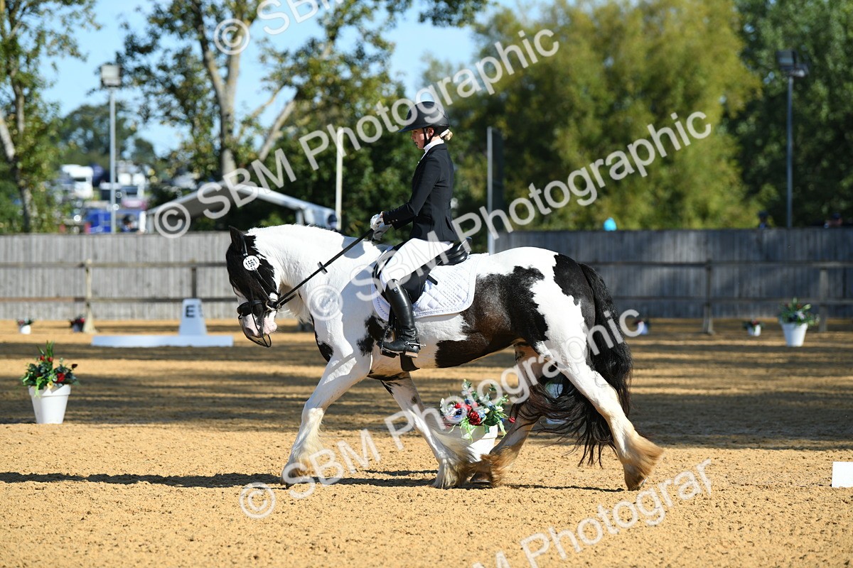 SBM_16275 - D4 - Small Tour Championship - Intro B