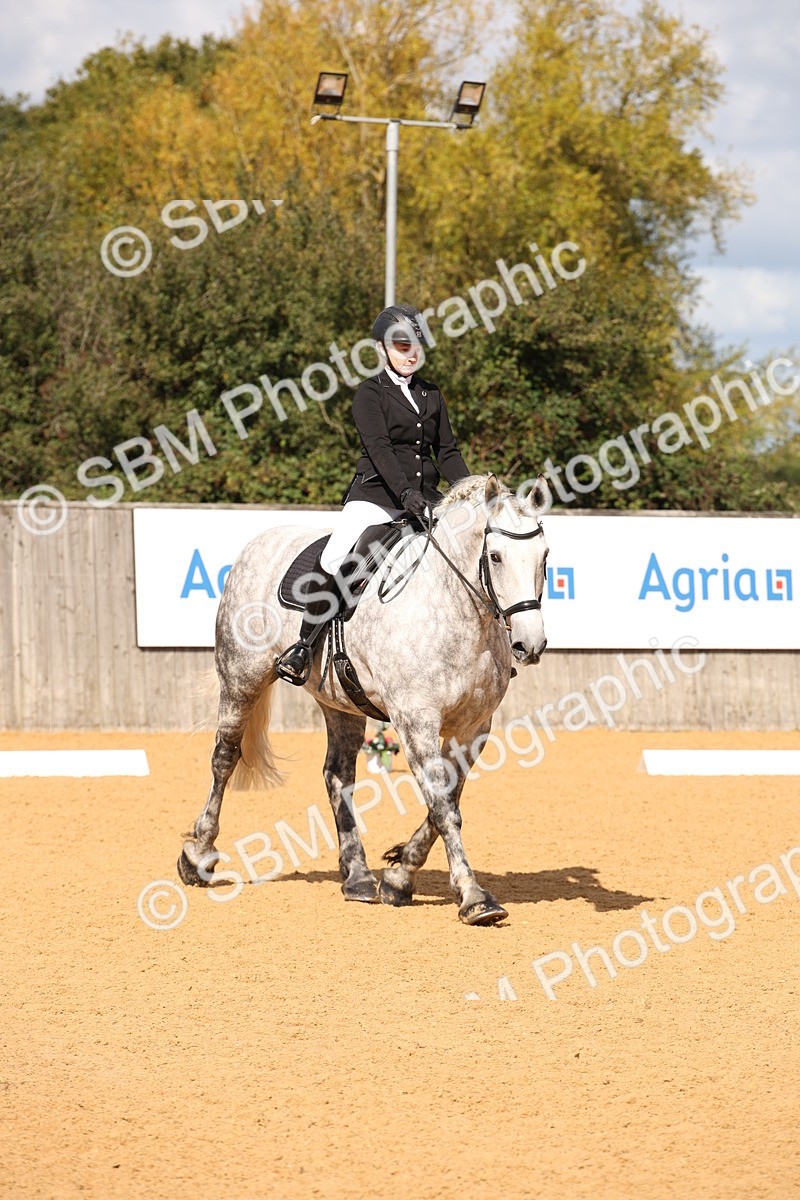 SBM_04285 - D2 Small Tour Championship Intro C