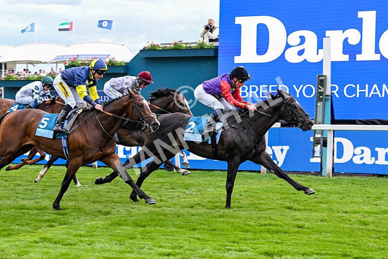 150526-Race 7-Portcullis-8755 - Race 7 5.15pm Darley EBF 'Confined' Novice Stakes