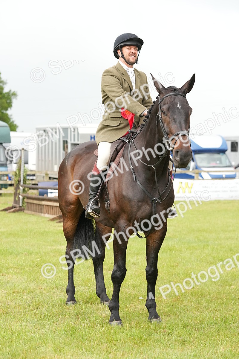SBM_12797 - Class 97-98 - LIHS BSHA Rising Star Working Show Horse Hunter