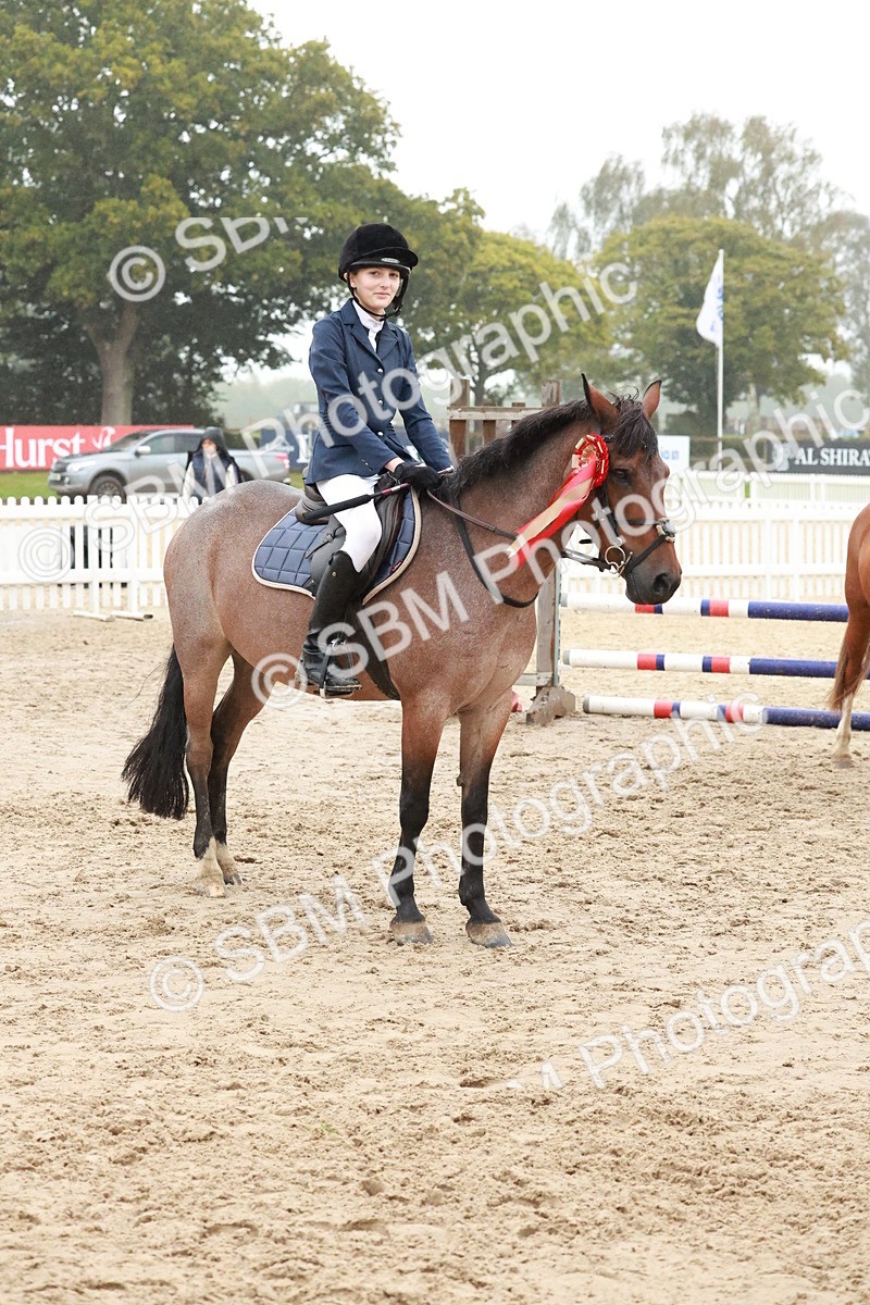 SBM_73553 - Supreme Championship Junior Pony 60cm & 65cm