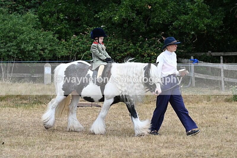 WJ7_6927 - Class 1 Lead Rein Pony