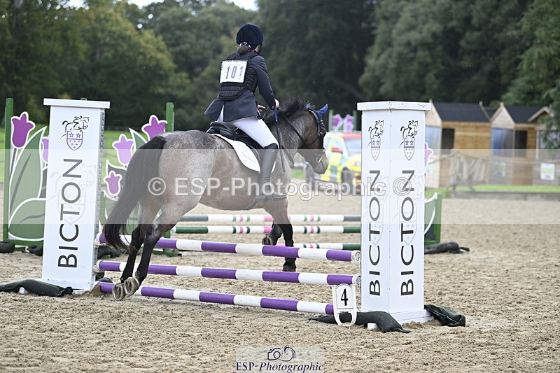 251005A-093551-03025 - Cls 03 GR 60cm