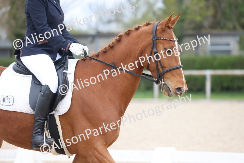 20260404-0124 - Class 2 - Intro 4