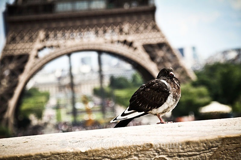  - Paris