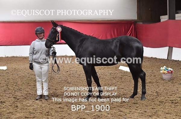 BPP_1900 - AFTERNOON 12.30 - 3.30PM