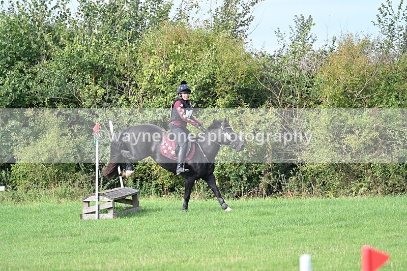 WJ7_8297 - 60cm Pairs