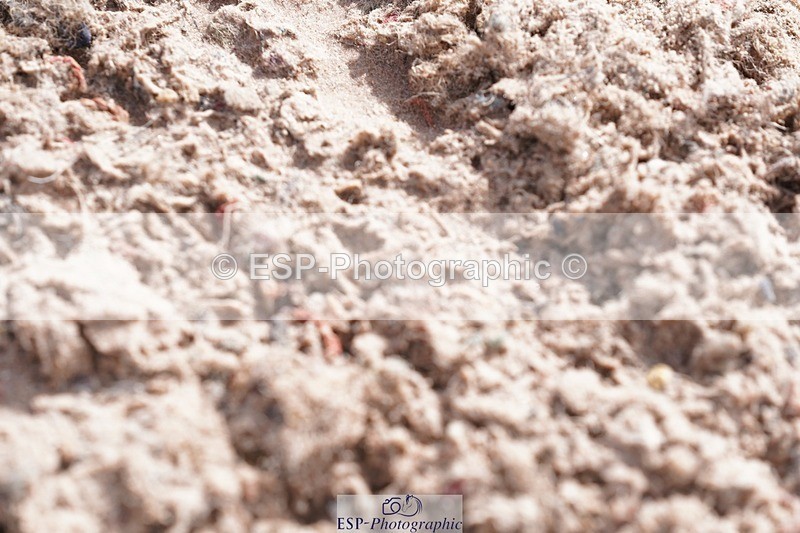 250628-094558-02935 - Cls 21 Stepping Stones