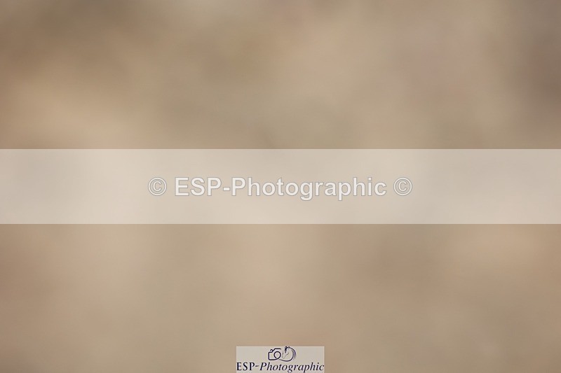 250621-123952-09036 - Cls 37 - Freestyle Adv Medium