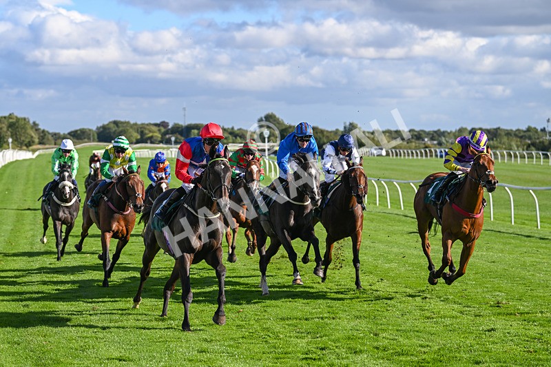 100924-Race 5-Crocodile Power-0445 - Race 5