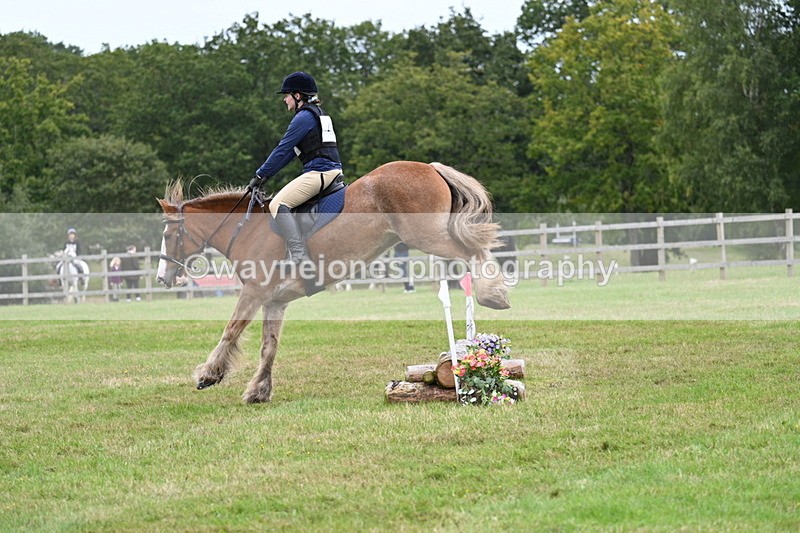 WJ7_7718 - 40cm Time 10:49 to 11:18