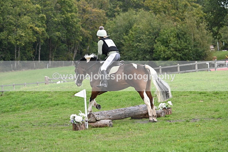 WJ7_4211 - 40cm Time 10:44 to 10:52