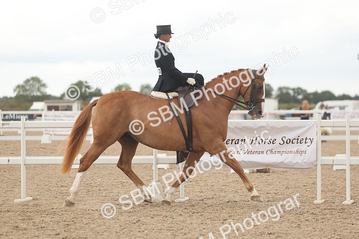 SBM_06319 - Class 23 - SSA - Classical