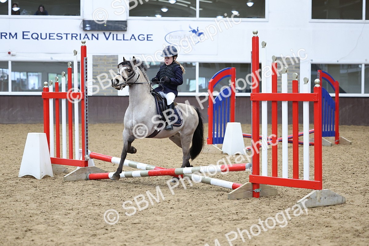 SBM_007025 - Class 1 - 40cm showjumping