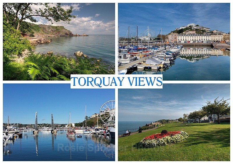 One left  Postcard Torquay Views - Torbay Postcards