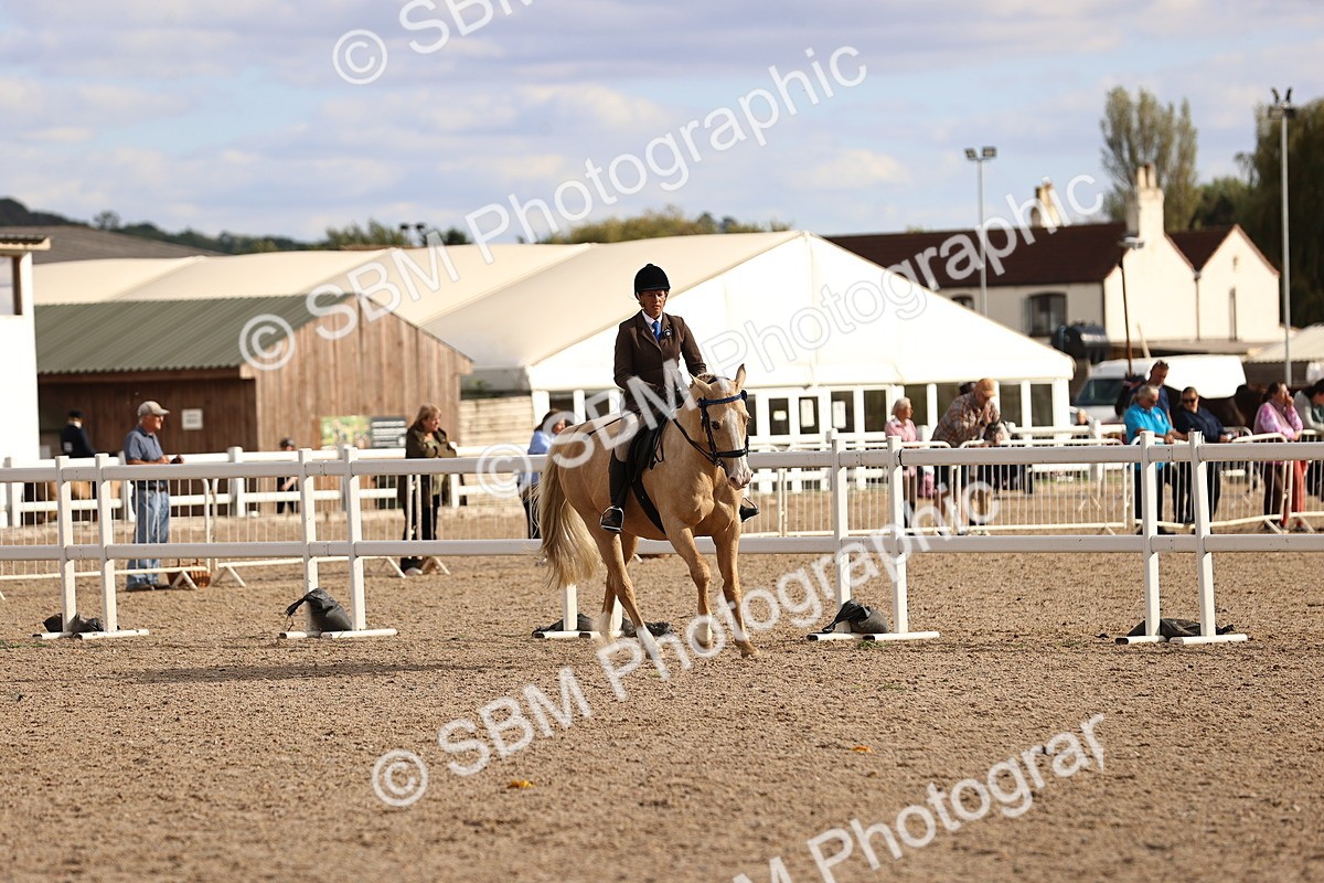 SBM_18213 - Class 423 - Equitation (best rider) Adult
