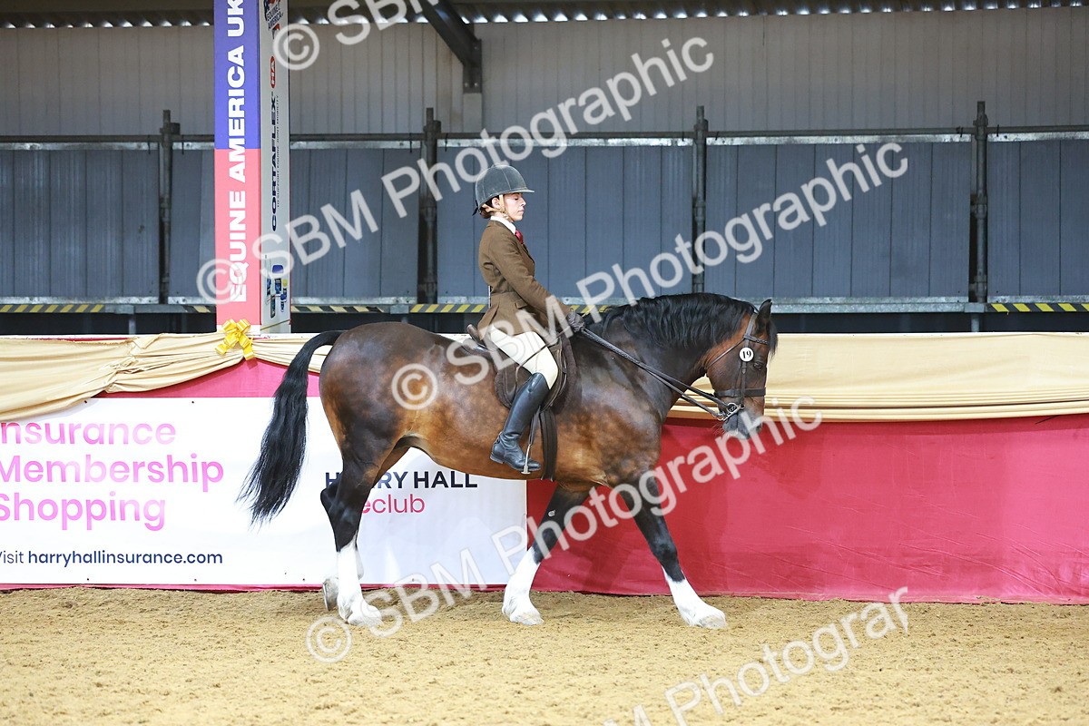 SBM_12396 - Class 103 - HOYS Veteran Qualifier - Ridden Pre Vet