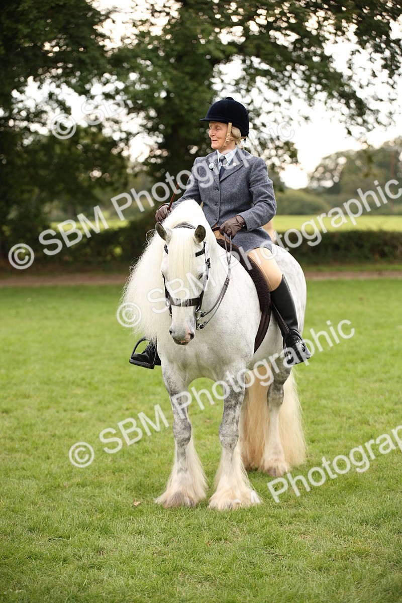 SBM_73576 - S68 - Traditional Cob Ridden
