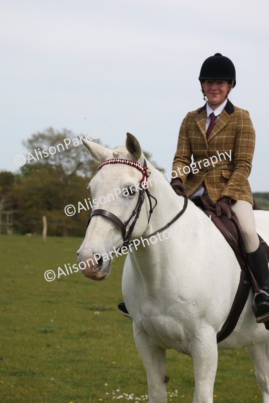 20260426-4399 - Class 34 - Best Riding Horse Over 14.2hh
