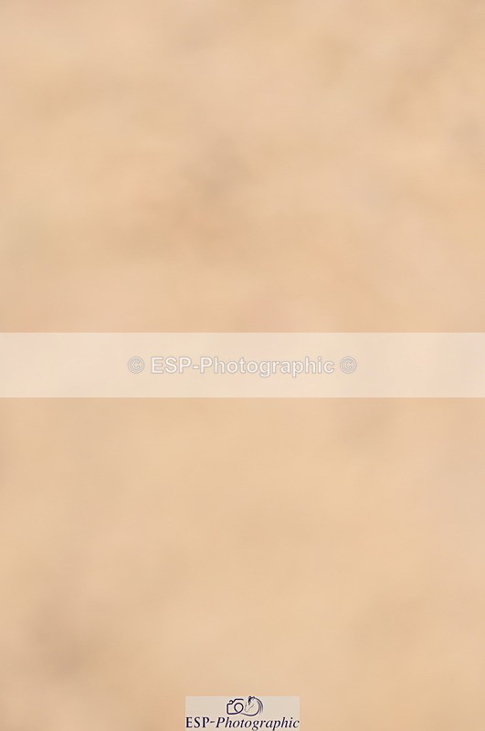 240403A-155410-01059 - Cls 5 Foxhunter and 1.20m Open