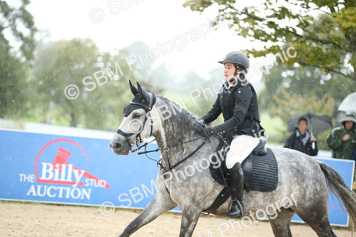 SBM_37140 - J20 - Junior Horse 50cm Championship
