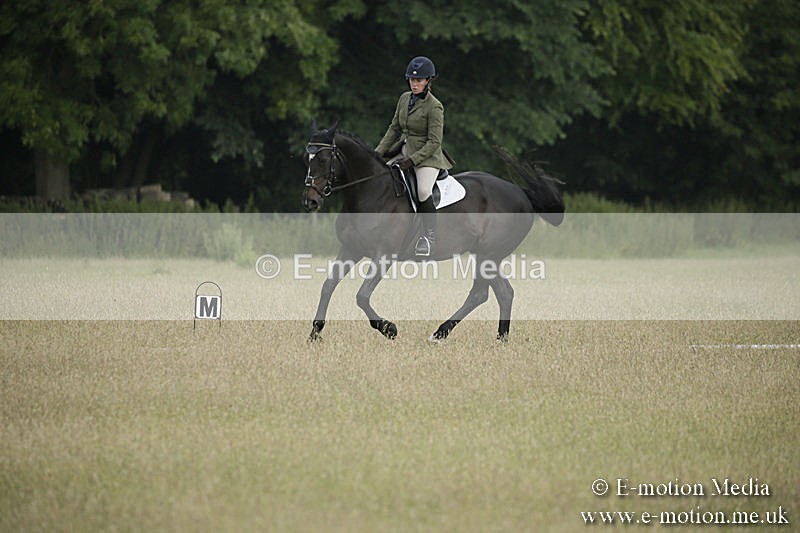 B230619-0149 - Bourne Valley Riding Club Summer Show 23/06/19