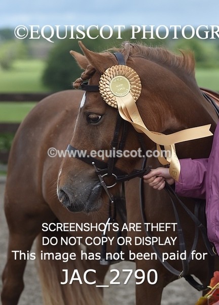 JAC_2790 - CLASS 4 BSPS Scone Palace HT Training Stakes Series