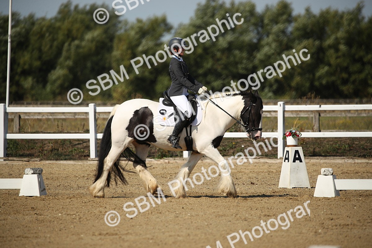 SBM_004178 - Class 11 - Novice 5 - 10.24-11.20