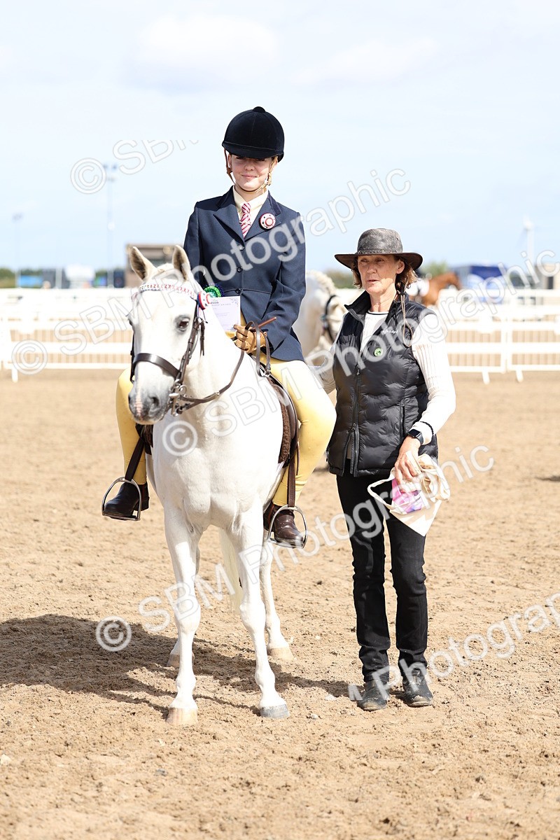 SBM_01939 - Class 18 - Handsomest Gelding - IH or Ridden