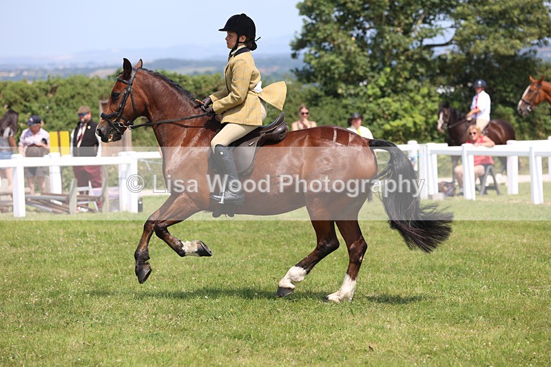 JPP_3268 - Class 22: Working Hunter 70cm