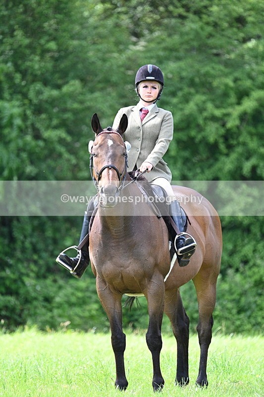 WJ7_1401 - Class 11 Condition & Turnout