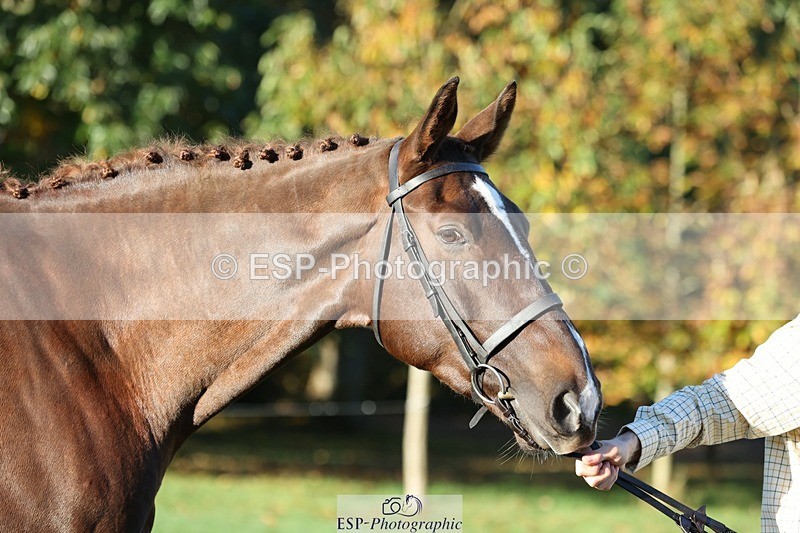 241027-084445-14788 - 315-Andrew.Winterton-STALLONE