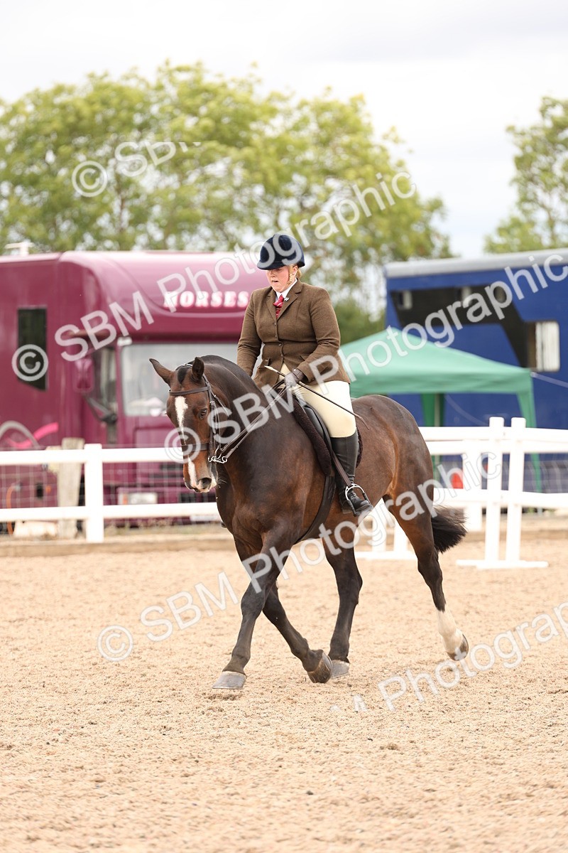 SBM_19558 - Class 215 - Ridden Show cob