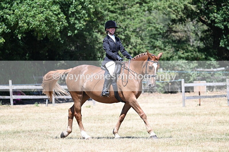 WJ7_2980 - Class 7 Riding Club Show Horse