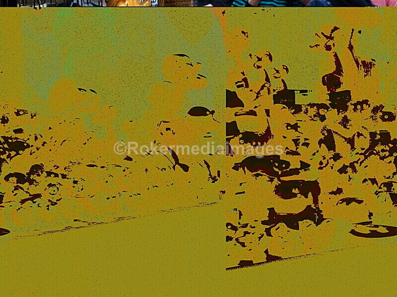 CHINA__0015 - China 2019