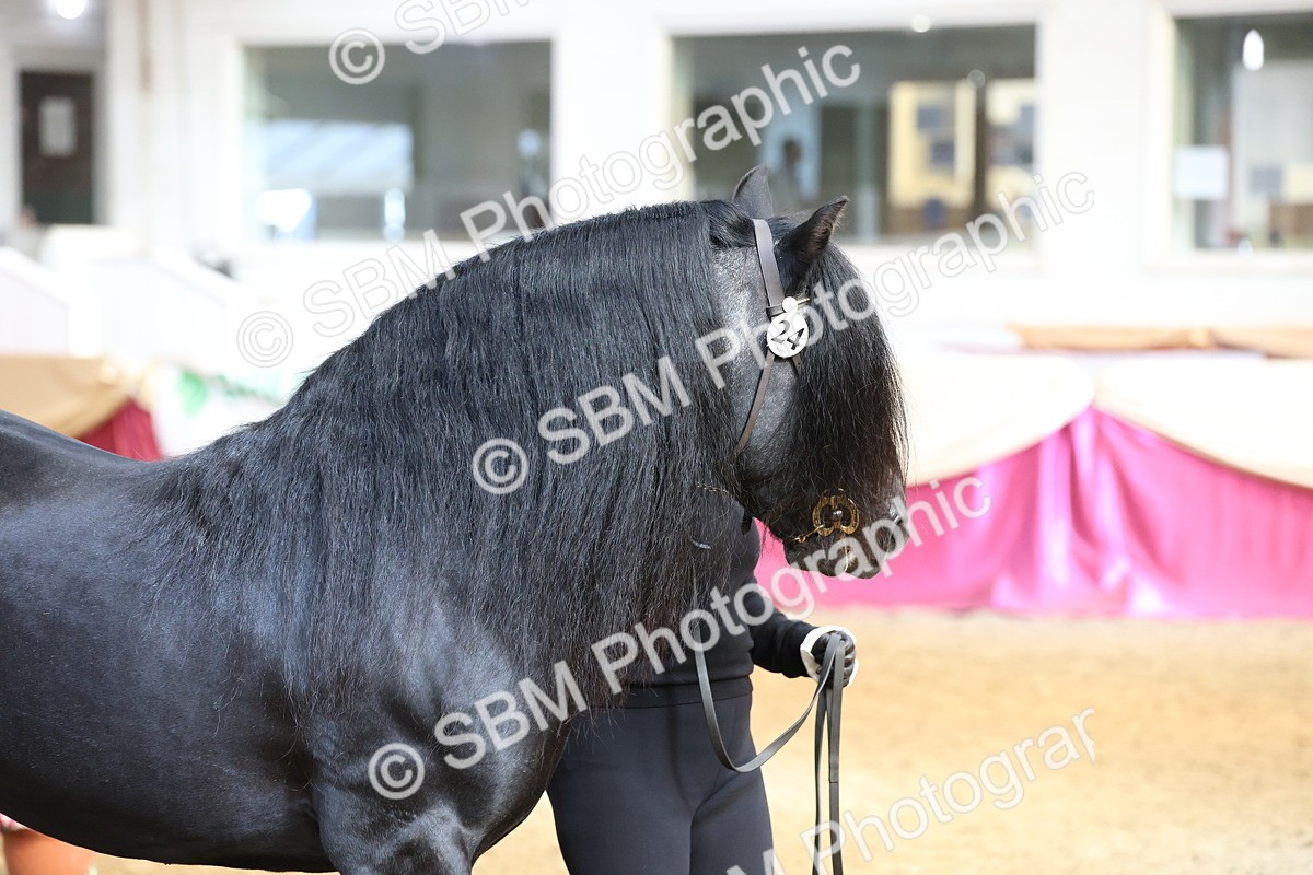 SBM_22512 - Class 902 - Supreme Final - IH Diamond