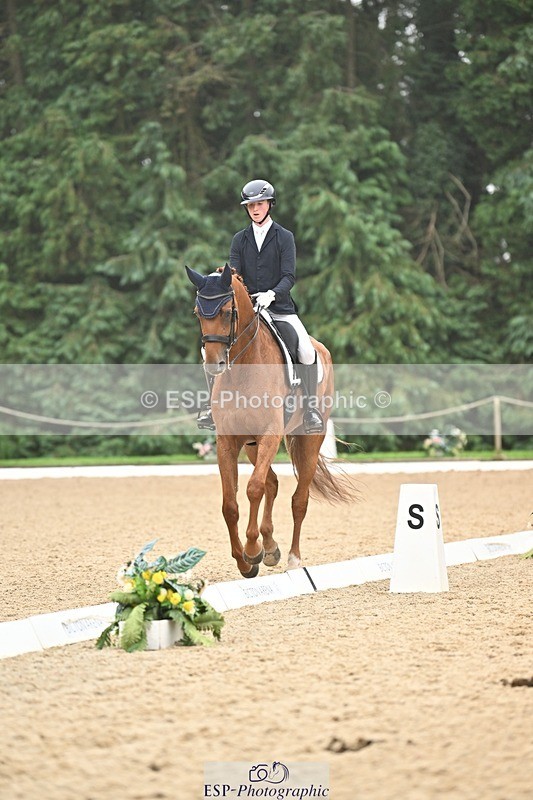 240811-113659-05212 - 208-Tom.Carter-Rubin.Regal