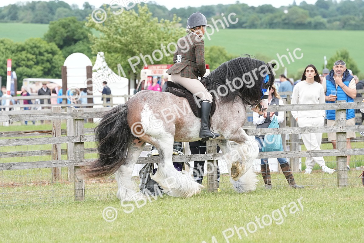 SBM_17690 - Class 107-108 - LIHS BSPS Performance Coloured Horse Pony