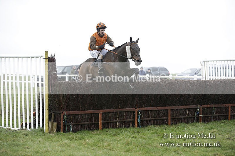 PtP 150320 0336 - New Forest Point-to-Point Larkhill 15/03/20