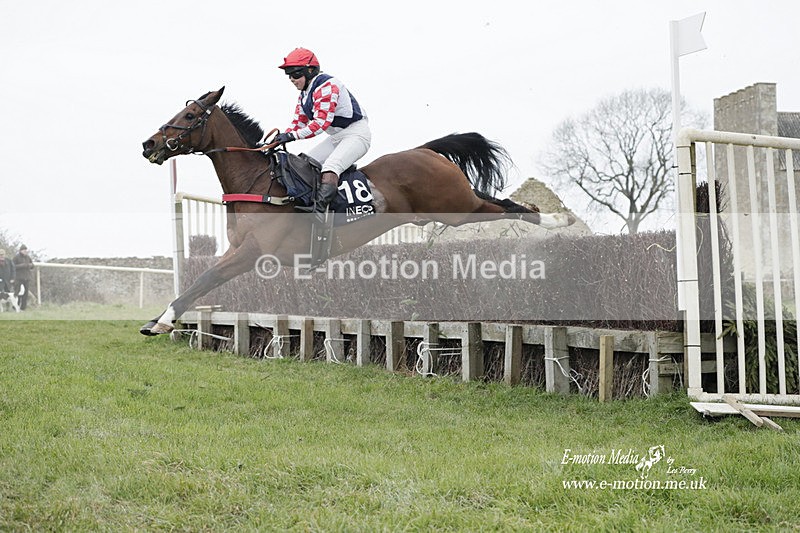 PtP 040323 485 - Duke of Beauforts Hunt Point-to-Point Didmarton 04/03/23