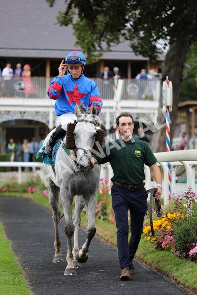 yr23072022r5-41 - Race 5 4.25pm Sky Bet UK's No1 Betting App Stakes