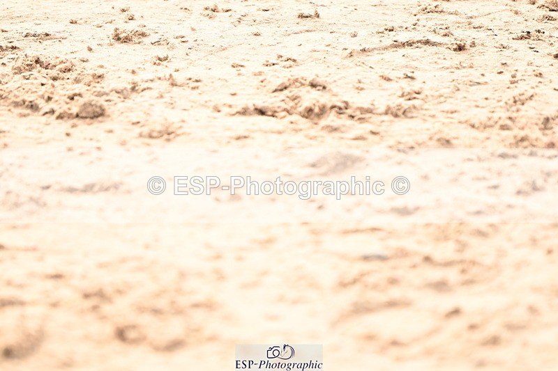 240721A-090342-16769 - Cls 20, 1 Star Gold Tour 1.35m