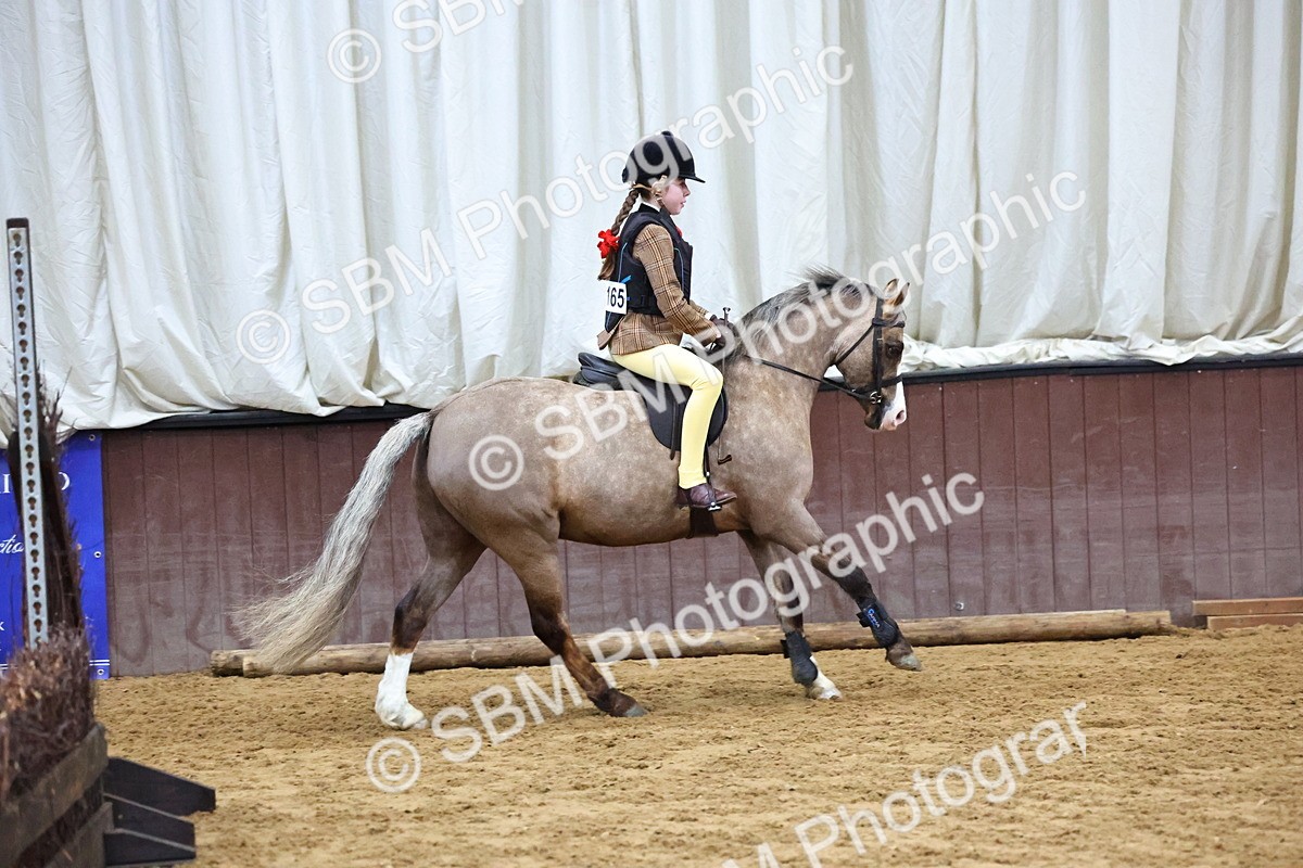SBM_003053 - Class 35 - 60cm Training Stakes