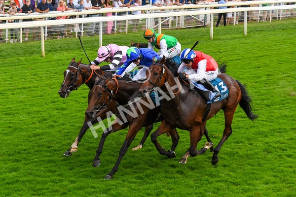 100923-Race 6-Anjo Bonita-1080 - Race 6 4.25pm Hanson Springs 60th Anniversary Handicap at York